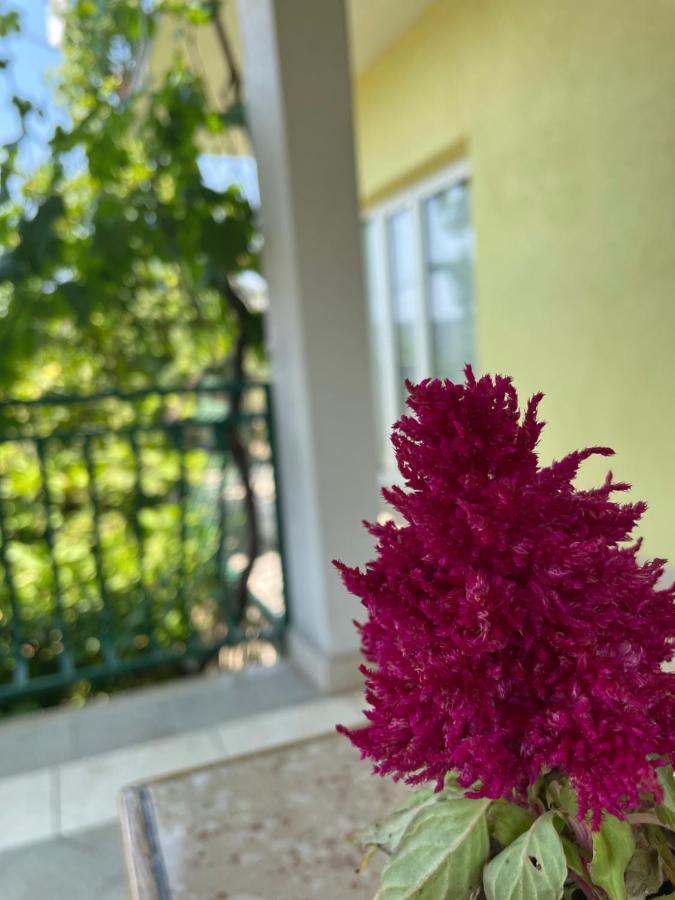 Apartments Mornar Poljica  Zewnętrze zdjęcie