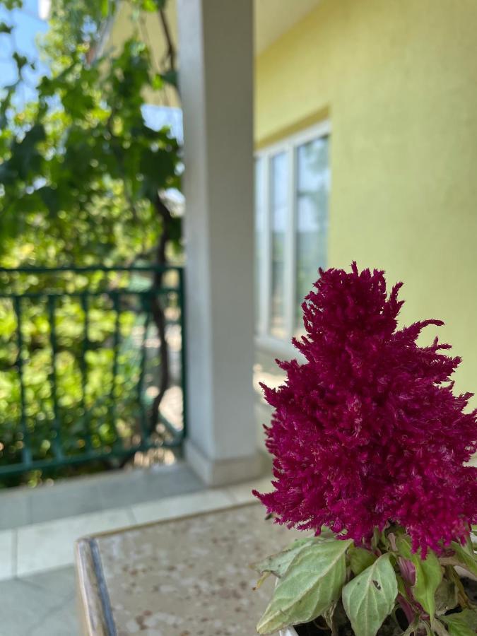Apartments Mornar Poljica  Zewnętrze zdjęcie